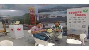 畢加展覽助力神益茶業(yè)進(jìn)擊中國茶葉交易會(huì)