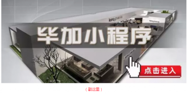 畢加邂逅小“情人”，那就再愛一次吧